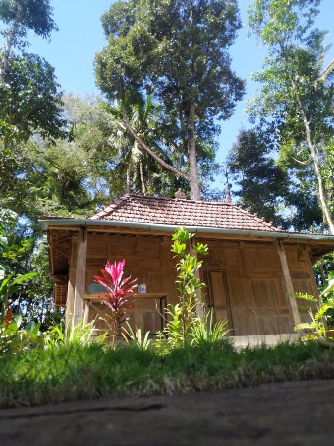 Omah Kayu Jagalan Hotel Magelang Exterior photo
